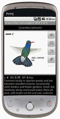 Android_app