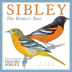 SibleyBirds-WallCalendar2011