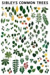SibleyTreesEastPoster