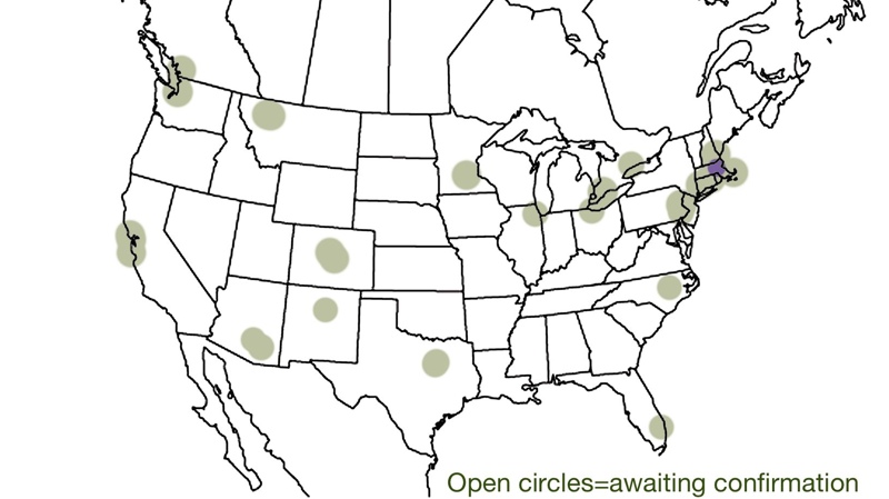 The map of my "range" over the next few months: resident in eastern Massachusetts with occasional appearances across the continent.