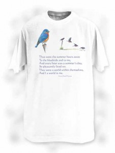 bluebird