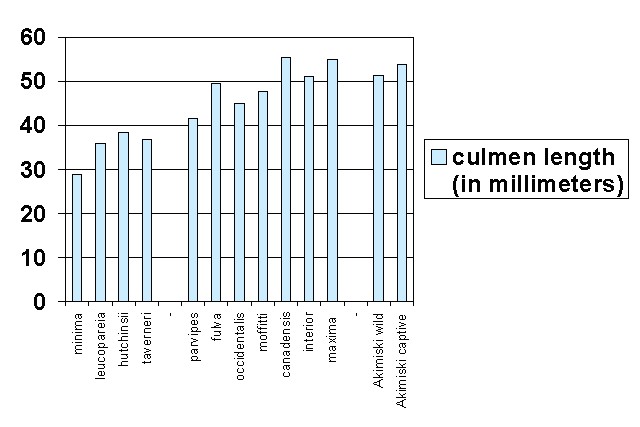 Canada Goose Chilliwack Size Chart