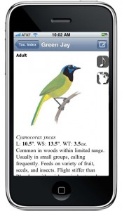 iphone_Sibleyguide_GreenJay