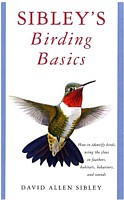 sib_birdingbasics_tn
