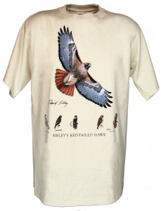 sibleysredtailedhawk