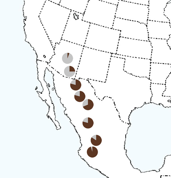 Anas_platyrhynchos_diazi_map_web