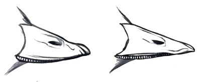 Bucephala_billshape_low