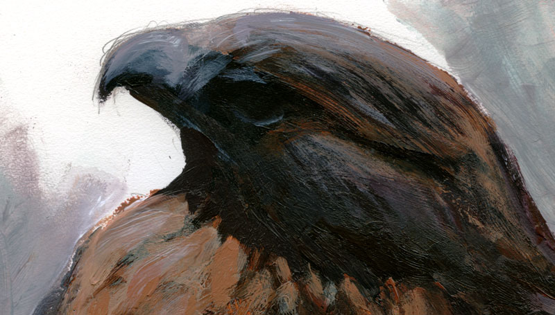Buteo_jamaicensis_PineButte_acrylic_207_edit_crop_web
