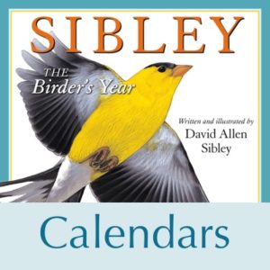 Calendars