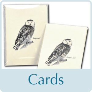 cards