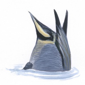 Duck_quiz1