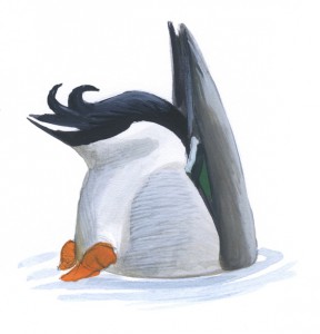 Duck_quiz2