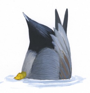 Duck_quiz3
