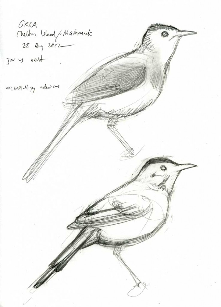 Paper Duck Skin Care - Quill And Fox