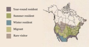 This is the key to the range map colors used in the Flash Card set. Click to enlarge.