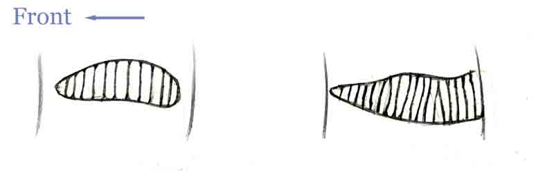 Gavia_necklace001web