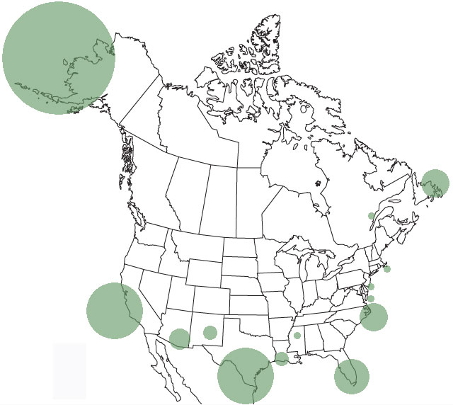 New-for-North-America