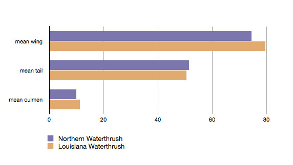 Parkesia_sizegraph_web