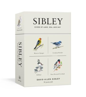 Sibley Birds of Land Sea and Sky 50 Postcards