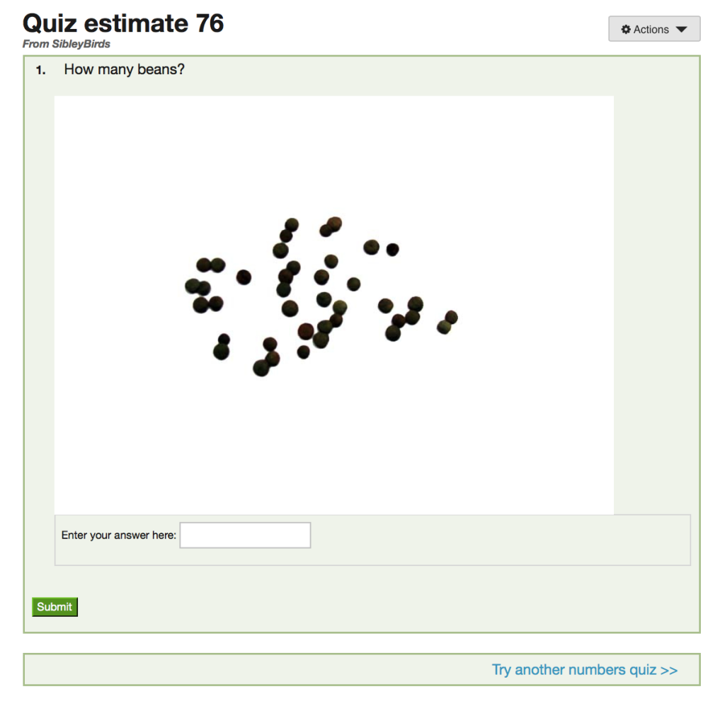 screen shot of quiz