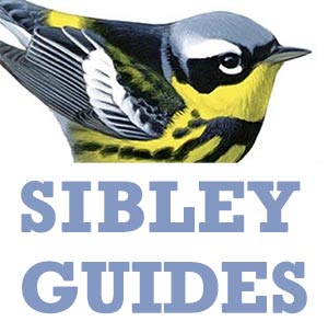 Sibley Guides – Identification of North American birds and trees