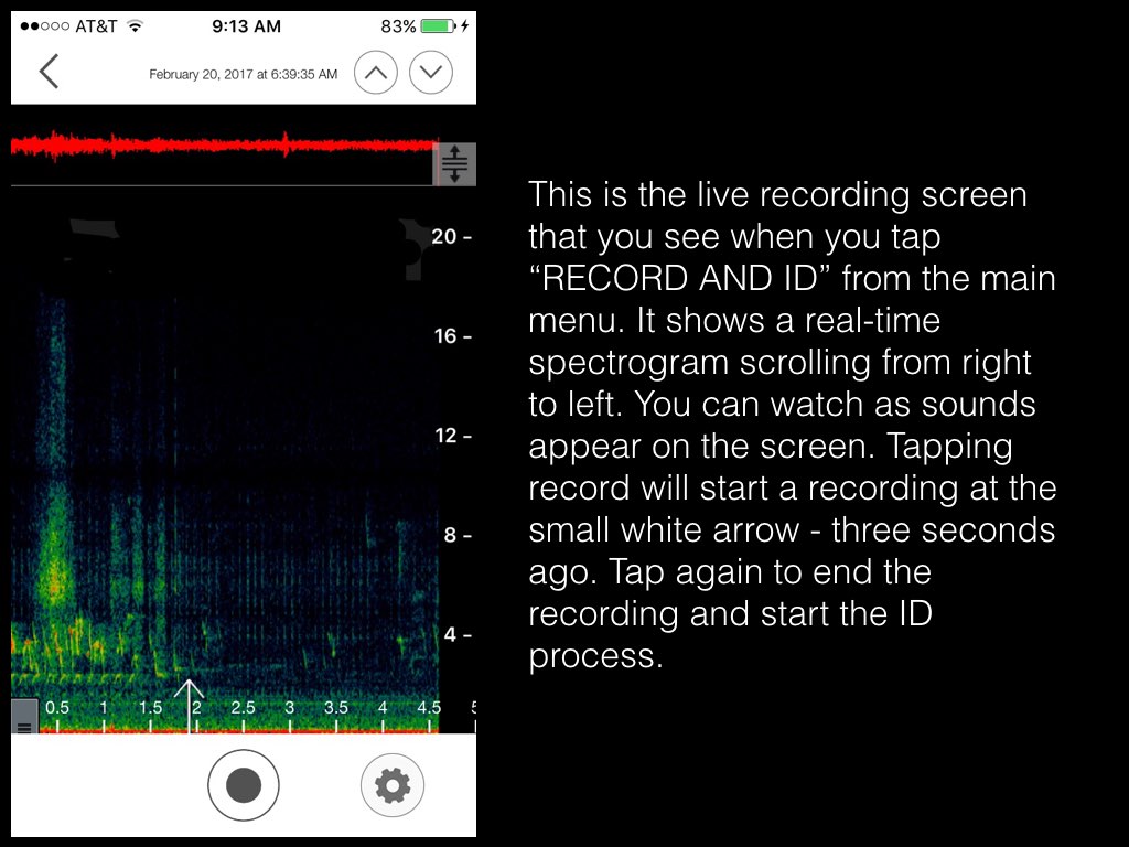 SongSleuth_filtering.001