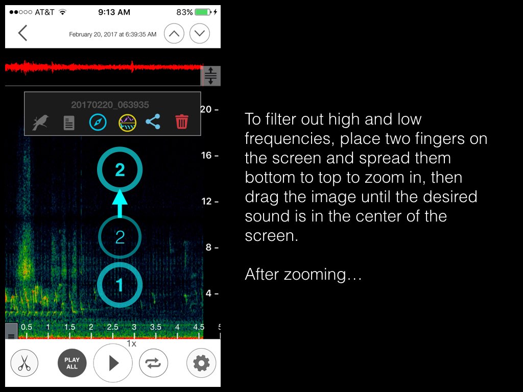 SongSleuth_filtering.004