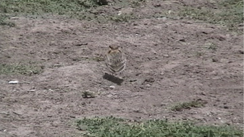 Still 2