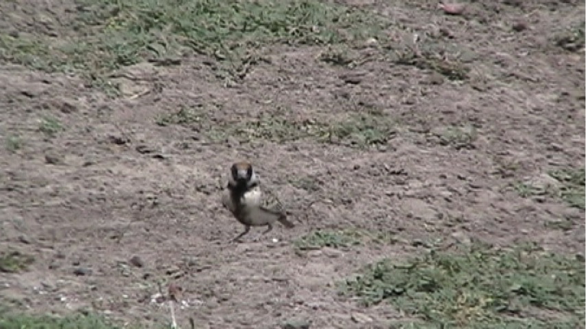 Still 3
