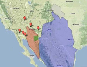 Toxostoma_curvirostre_range