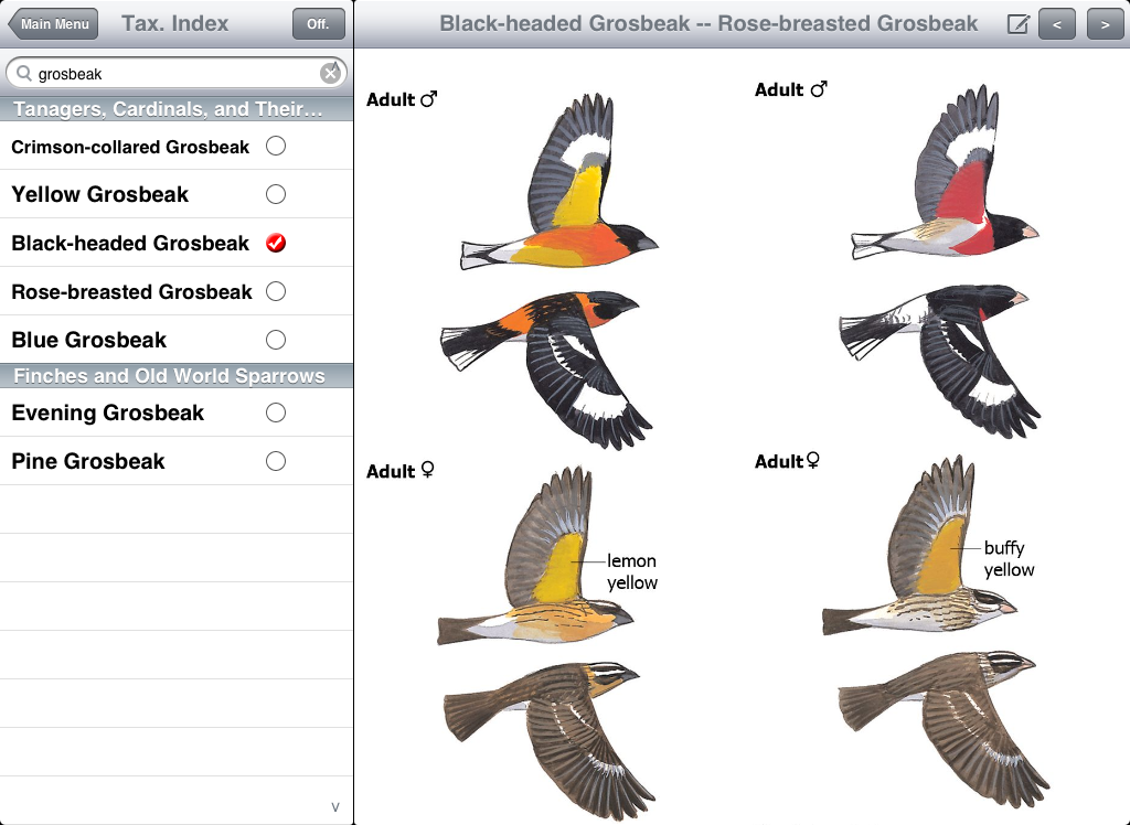 iPad_screenshot5