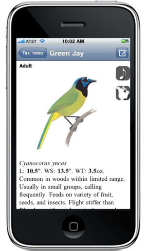 The Sibley eGuide to Birds App – Sibley Guides