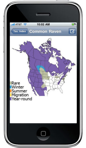 The Sibley eGuide to Birds App – Sibley Guides