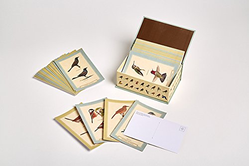 Sibley Birds of Land Sea and Sky 50 Postcards Epub-Ebook