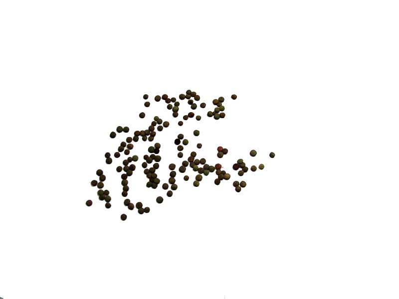 quiz_15c_IMG_c2c4_edit