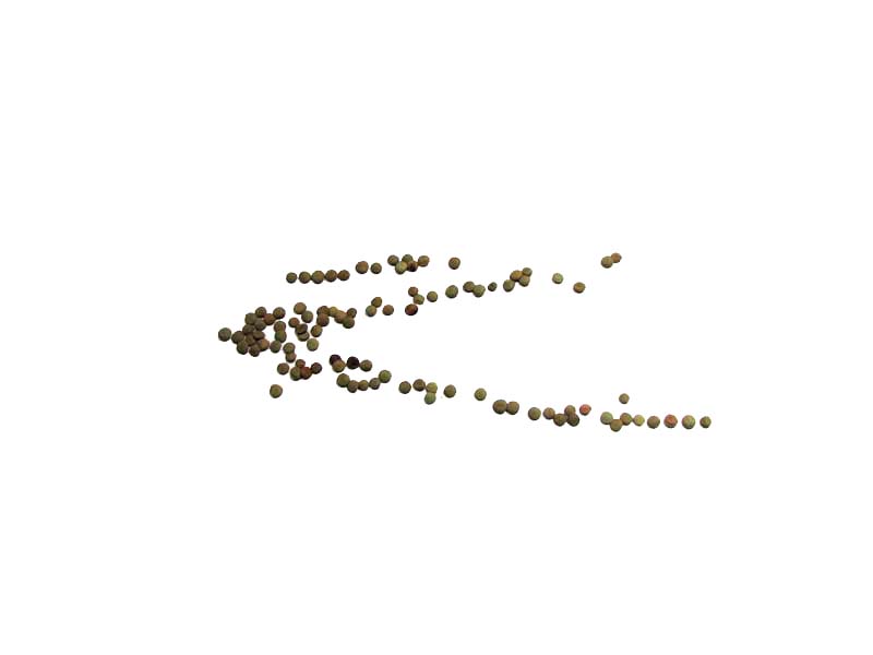 quiz_1cc_IMG_c2c1_edit