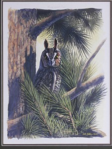 sibleyowl-LG sibleyowl-LG